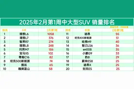真惨！2月第1周中大型SUV销量排名：仅一款破千，飞凡R7仅卖3辆图片