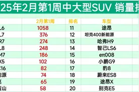 真惨！2月第1周中大型SUV销量排名：仅一款破千，飞凡R7仅卖3辆图片