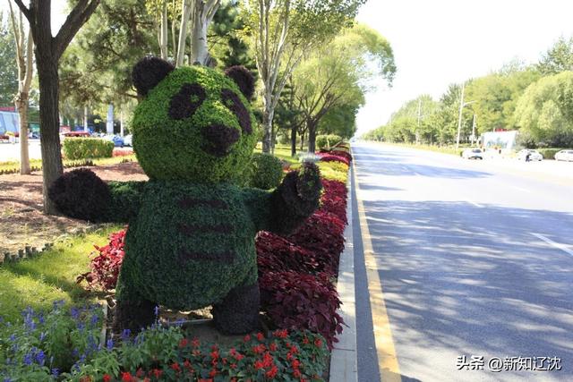 万菊织锦 绿雕传情 沈阳新增国庆景观