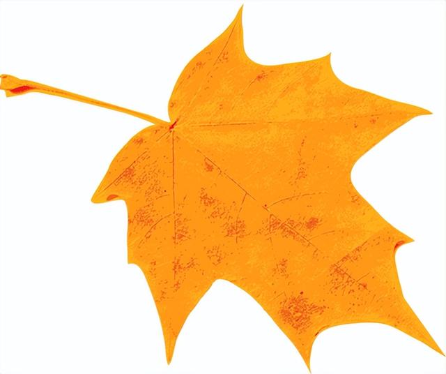 津彩三重奏已准备就绪！海河旧书市集本周必打卡