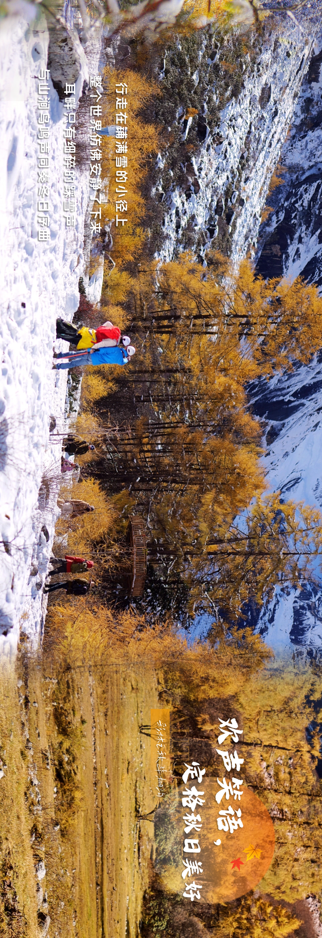 拍了拍毕棚沟的秋天：你的色彩已存档！