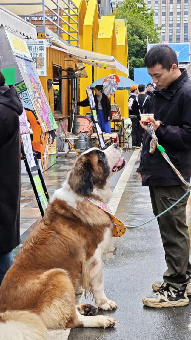 汇川第二届酱香咖啡生活文化周，不容错过的精彩！