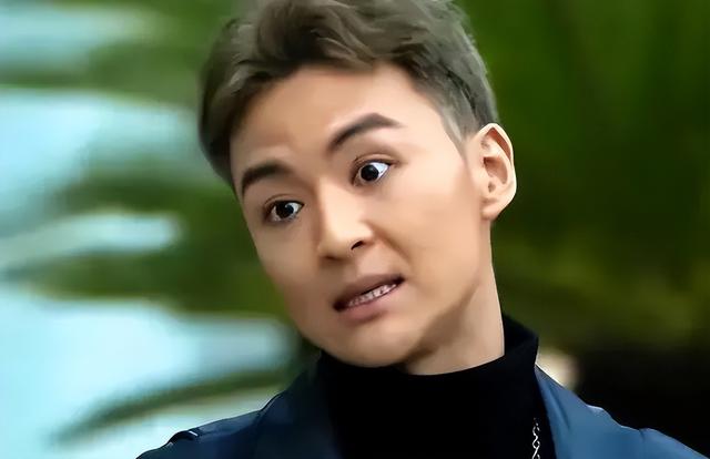 收手吧，“资本家的丑孩子”，没颜值没本事，就别出来祸害观众了