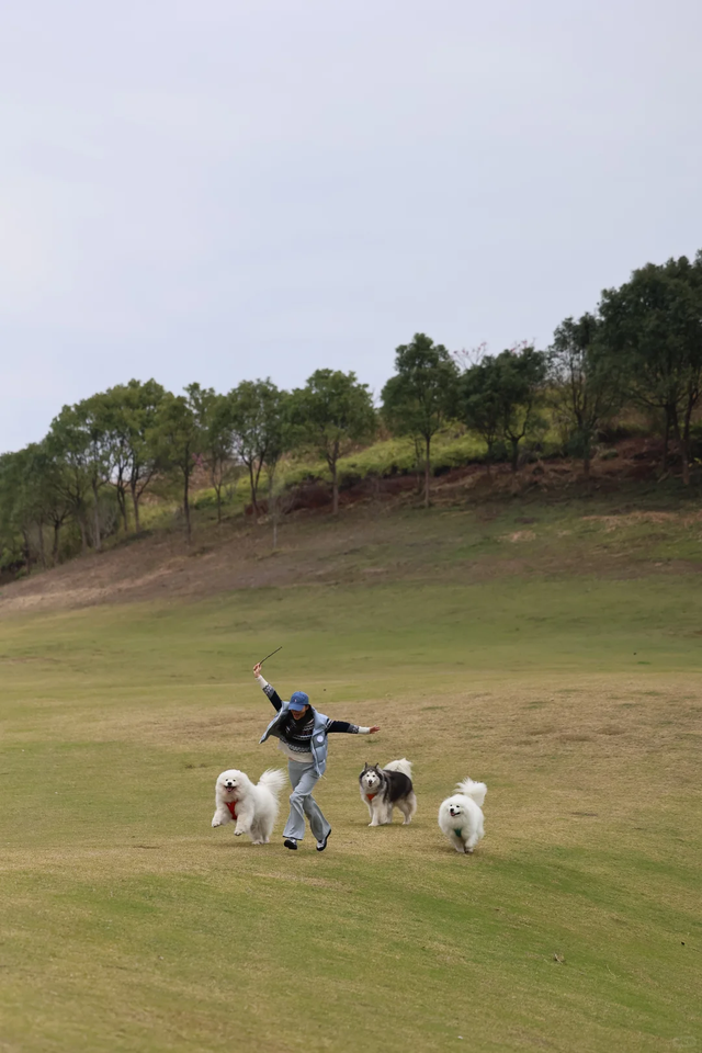 在韶关，带毛孩子去哪“浪”？这份宠物友好地图请收藏，撒欢不踩雷~