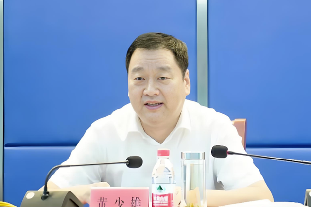 王莉霞、黄少雄、黄贤昌、李立新、邓小明、杨波被查，许锡龙被开除党籍，曹阳被“双开”，李玮一审获刑15年