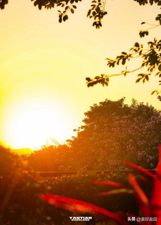 发现深圳“阿勒泰”这些机位的人，真是天才！