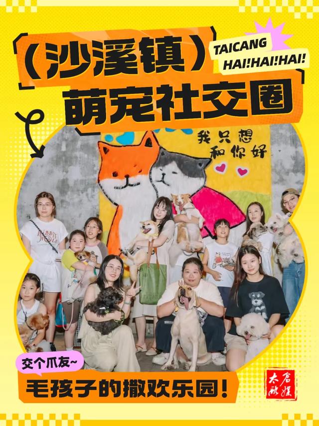 太仓长假隐藏玩法曝光！