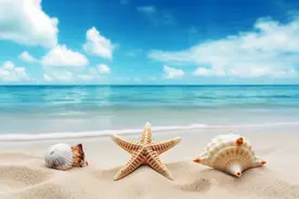 男领导倾心女下属的微妙迹象图片