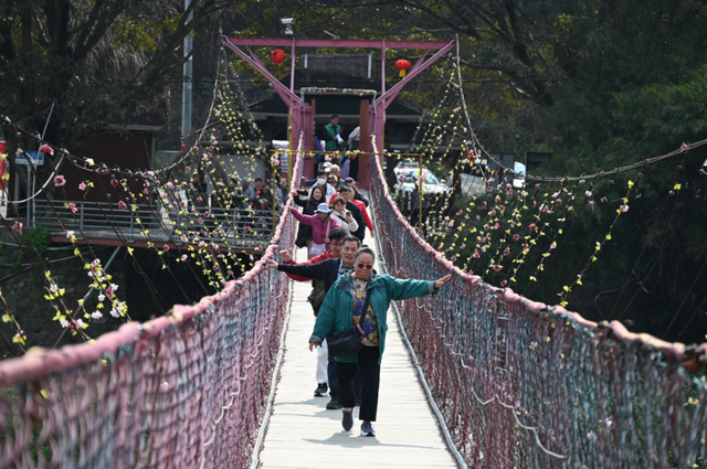 揽客37.49万，创收4.47亿！阳山2026马年春节文旅体融合出彩迎开门红