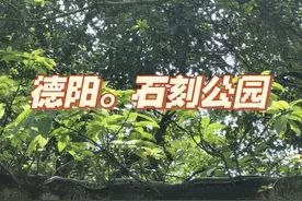 紧急提醒！德阳这些地方都出现蛇了！近期是出没高峰期！图片