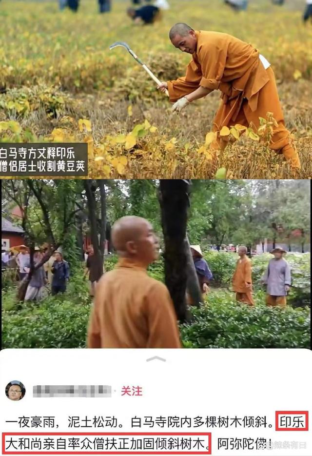 多名情妇，被爆出的释永信，才知道她的坚守与慈悲有多让人景仰