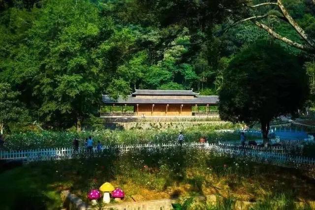 广东韶关2日叹禅意之旅，人均200不贵！经律论+温泉+双早+天禅谷