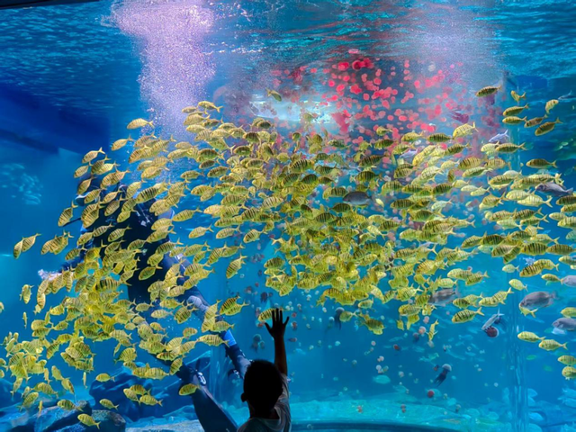 省级荣誉+1！徐州云龙湖旅游景区斩获“创新示范奖”