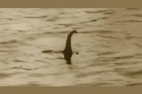 有史以来10个最令人毛骨悚然的神秘动物图片