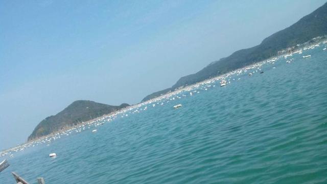 汕头自驾游6大旅游景点推荐