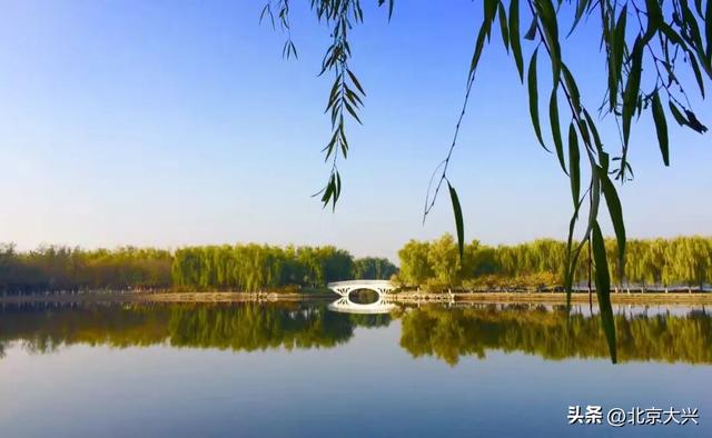 秋天来大兴！这波彩色 “多巴胺” 直接美到“心巴”上——
