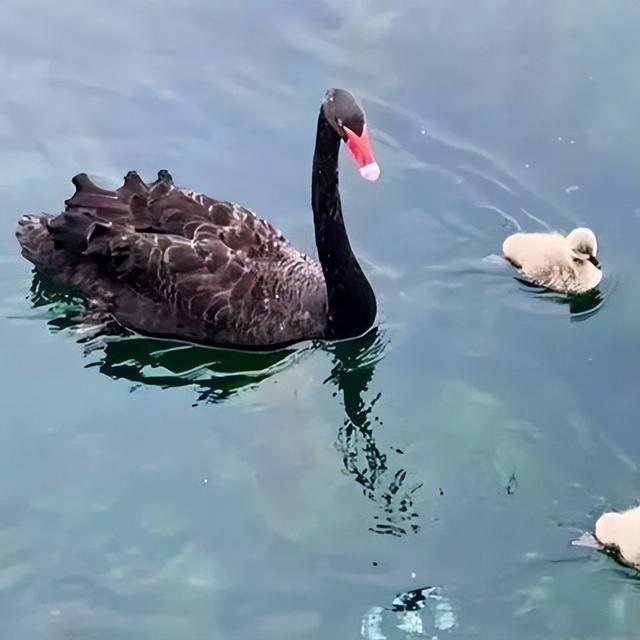 22℃！气温回升！这份温差版江北限定出游指南收好！