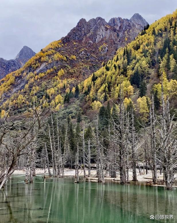 四姑娘山长坪沟徒步全攻略，47000步走到木骡子，附避坑指南