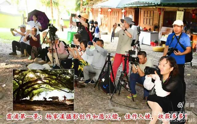 彩色旅图｜光影里的霞浦：滩涂、古树与渔排的诗意时光