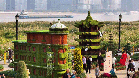 武汉今秋最大花展，限时一个月，免费！