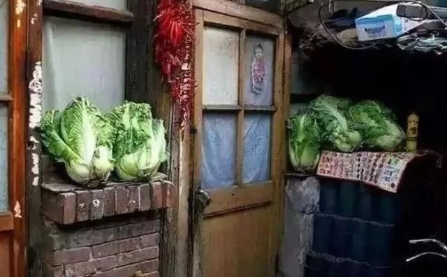 大棚乱了四季	，却乱不了北京人对冬储白菜的执念