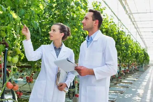 中国再出黑马！科学家成功破解植物再生密码，1大关键因素出炉