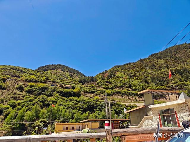理小路环线今日风景！