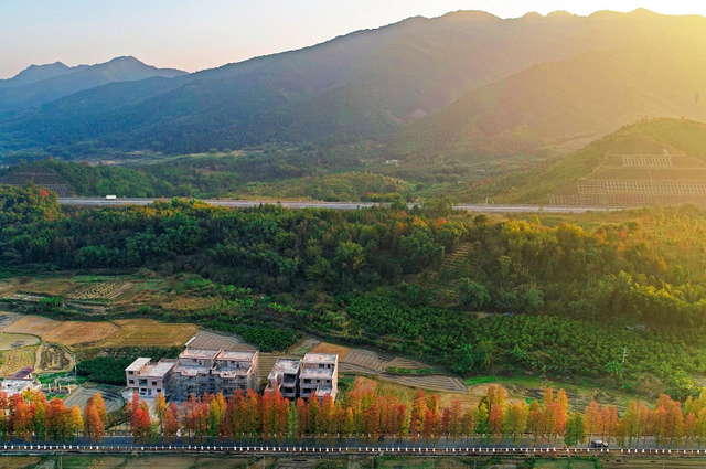 收好始兴这条线路，一天玩转艺术、古村与落羽杉，追一场岭南最绚烂的秋！