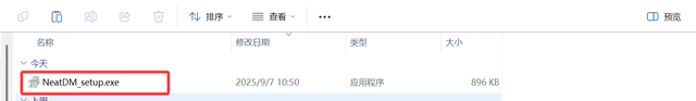 好用的下载工具：NDM 下载器