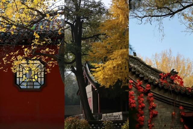 【文明旅游】太原：秋染晋祠｜当千年古建染上斑斓秋色