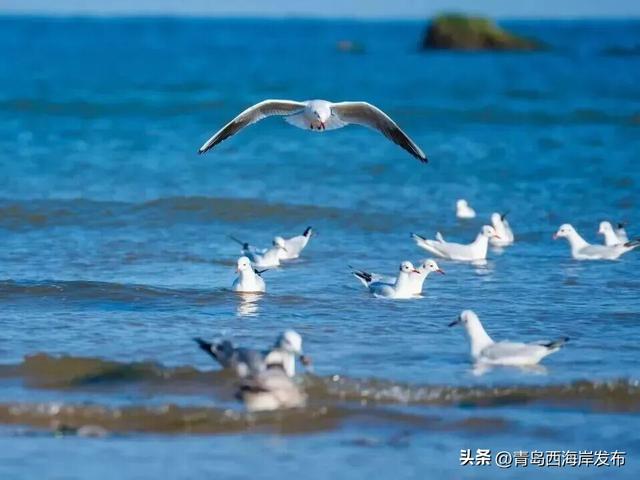 来西海岸，跨年就要这么玩！