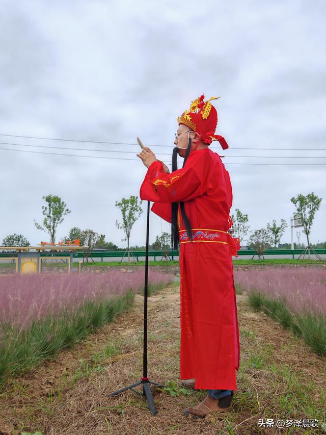 湖北：国庆节网红打卡地 云梦花开十月紫黛草韵染秋色