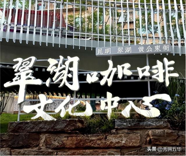 限时30天！昆明蓝花楹盛放！泼水狂欢、水果自由，五一赴这场紫色浪漫