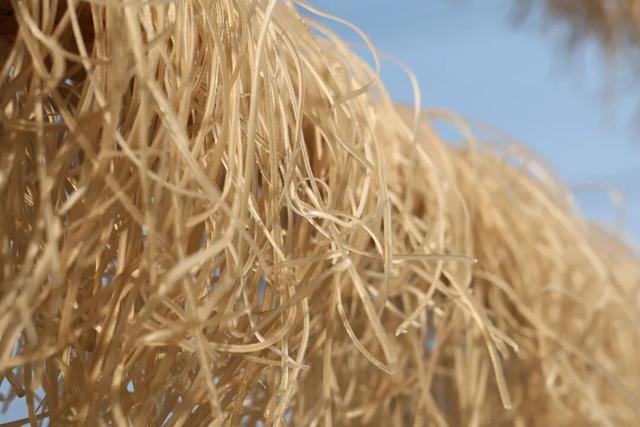 好看、好吃、好玩！富阳这个镇，值得一游！