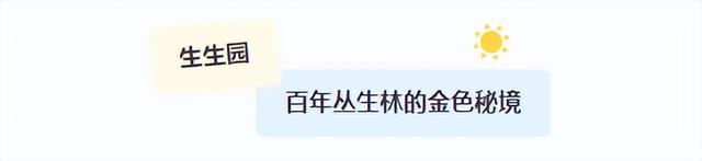临沂免费赏秋好去处，错过你将后悔一整年！