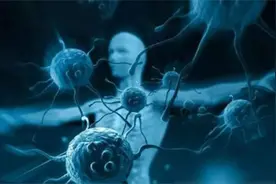 人与猴有生殖隔离，人类却造出人猴“杂交”胚胎，究竟咋回事？图片