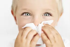 医生提醒：过敏性鼻炎不能只吃药，6种“自我疗法”，简单又有效图片