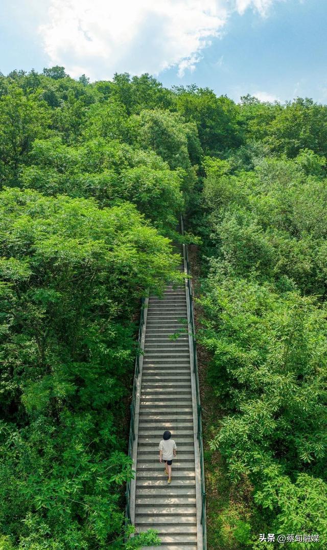 别宅在家啦！蔡甸这两座爬山圣地，吹散 “班味儿” 超治愈～