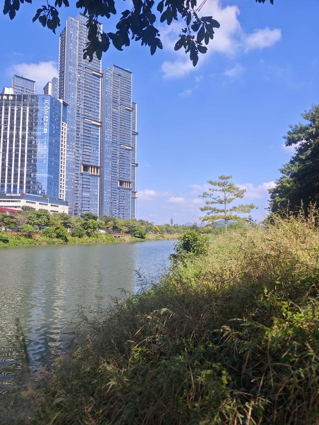 从学苑大道入大沙河绿过大学城后进深圳弯公园流花山景点【高清】