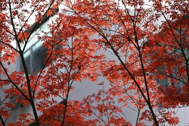 人挤人的南京，现在还值得去吗？