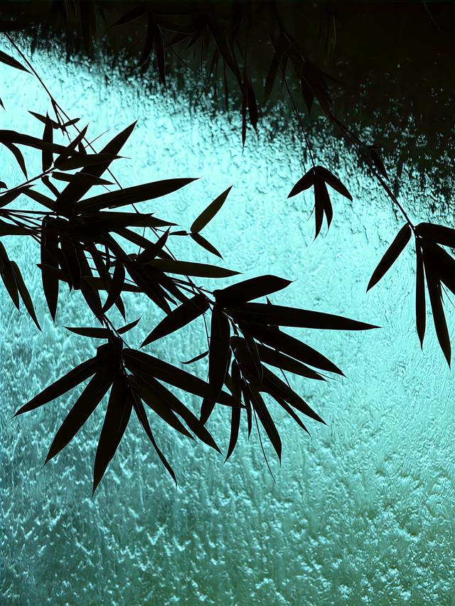 朦胧中坠入一场夏梦🍃 ​