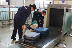 “菜鸟组合”→“最佳拍档”，这位女警成功跨界！图片