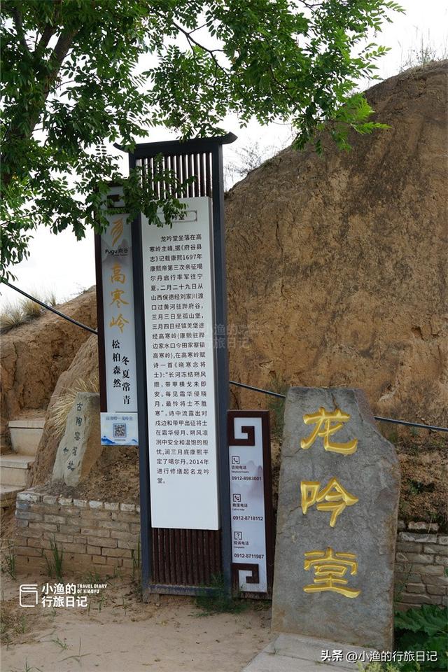 太神奇了！陕西有棵千年古树，长成了“中国地图”，康熙曾来拜谒