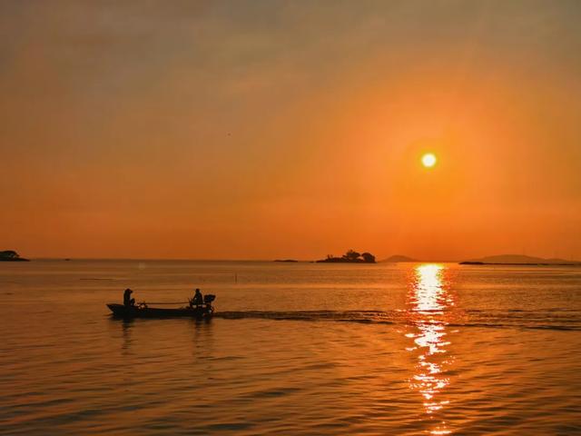 滕州微山湖红荷湿地：秋日限定的诗意画卷