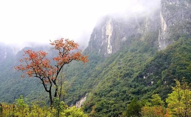 警告！深秋的徽县，千万别出门！因为……