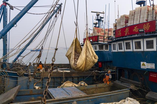 大连金州：中国北方最大的国家级渔港