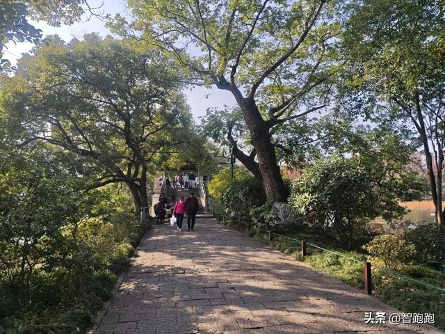 2025 杭州西湖 City Walk 留下足迹