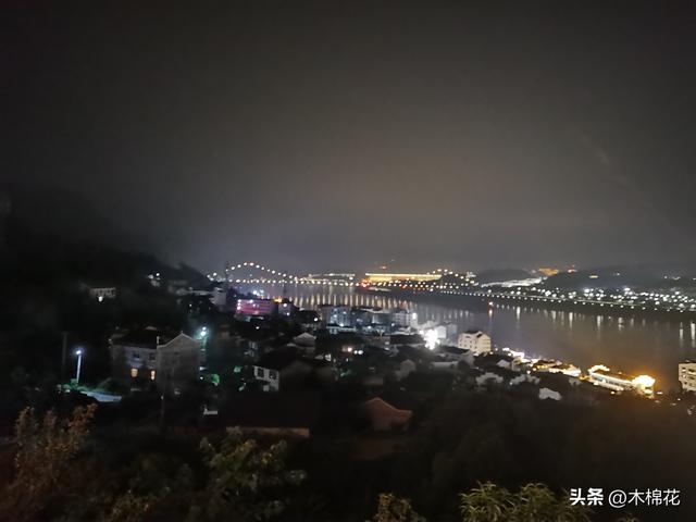 携宠出行第三天