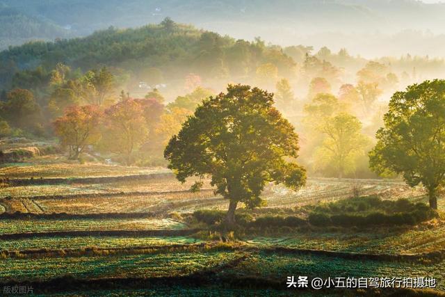 皖南赏秋干货攻略：3 天逛 7 景，时间 + 路线全落地