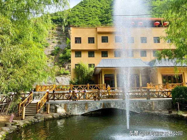 西安山美水美的清凉秘境！夏天来黑河避暑旅游太爽了！